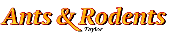 Taylor Ant Exterminator & Rodent Control Company Logo